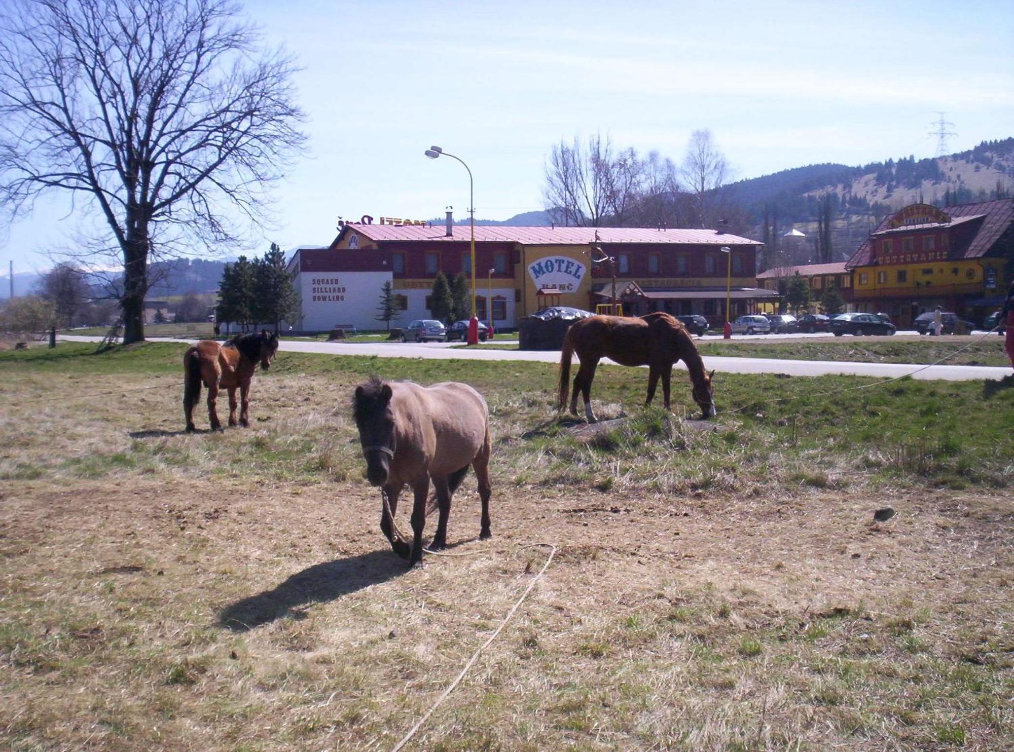 Motel Ranc Ruzomberok Dış mekan fotoğraf